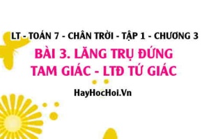 Lăng trụ đứng tam giác, lăng trụ đứng tứ giác: có bao nhiêu mặt, mấy đỉnh, mấy đường chéo? Toán 7 chân trời Tập 1 chương 3 Bài 3